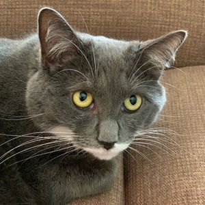 Meet your Posher, Tammy